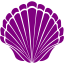 purple seashell 2 icon
