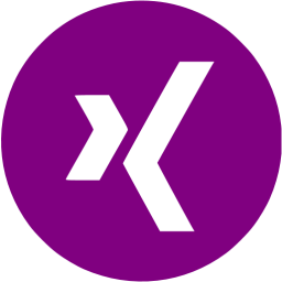 xing 4 icon