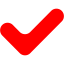 red check mark 12 icon