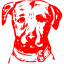 red dog 6 icon