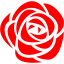 red rose icon