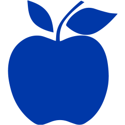 apple 2 icon