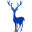 royal azure blue christmas 43 icon