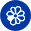 royal azure blue icq 4 icon