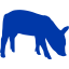 royal azure blue pig 2 icon