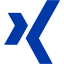 royal azure blue xing icon