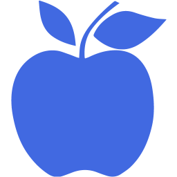 apple 2 icon