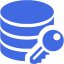 royal blue data encryption icon