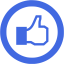 royal blue facebook like 5 icon