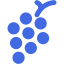 royal blue grapes icon