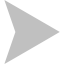 silver arrow 34 icon