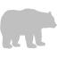 silver bear 2 icon