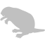 silver beaver icon