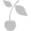 silver cherry icon