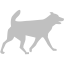 silver dog 32 icon