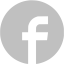 silver facebook 7 icon