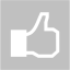 silver facebook like 2 icon