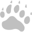 silver footprints bear icon