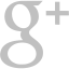 silver google plus icon