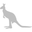 silver kangaroo 4 icon