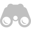 silver opera glasses icon
