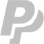 silver paypal 2 icon