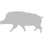 silver pig 10 icon