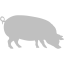 silver pig 4 icon