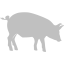 silver pig 6 icon