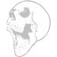 silver skull 21 icon