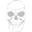 silver skull 41 icon