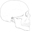 silver skull 62 icon