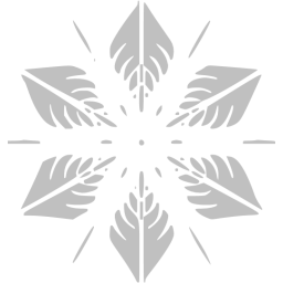 snowflake 5 icon