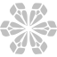 silver snowflake 9 icon