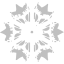 silver snowflake icon