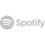 silver spotify 2 icon