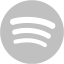 silver spotify icon