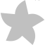 silver star 21 icon