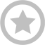 silver star 7 icon