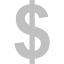 silver us dollar icon