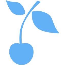 cherry icon