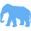 tropical blue elephant 7 icon