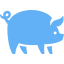 tropical blue pig icon