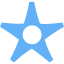 tropical blue star 16 icon