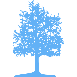 tree 26 icon