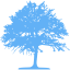 tropical blue tree 46 icon