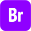 violet adobe br icon