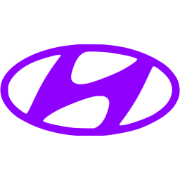 hyundai icon