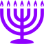 violet menorah icon