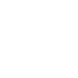 anchor 4 icon